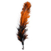 Feather toy set for cats - 11 piece