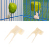 Fruit fork - 4 piece plastic food holder