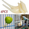 Fruit fork - 4 piece plastic food holder