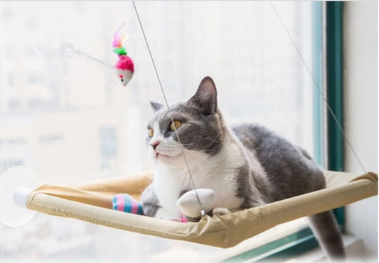 Cat Perch Window Bed